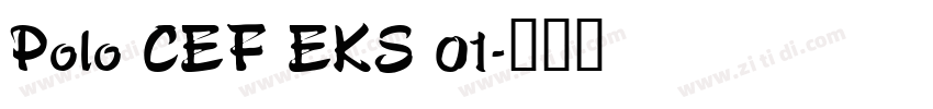 Polo CEF EKS 01字体转换